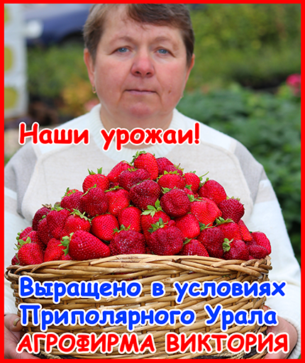Сбор и хранение урожая